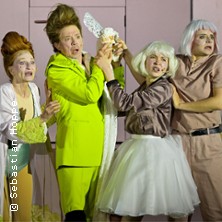 Der tollste Tag oder Figaros Hochzeit 04.06.2026 Japanisches Palais